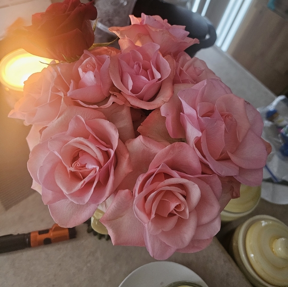 listing for a live - Picture 3 of 9